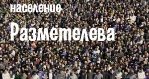 Население Разметелева