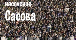 Население Сасова