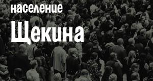 Население Щекина