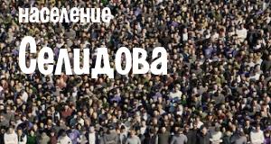 Население Селидова