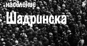 Население Шадринска