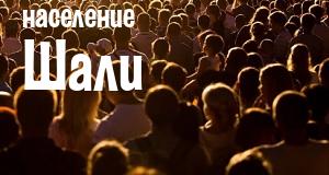 Население Шали