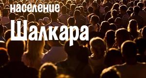 Население Шалкара