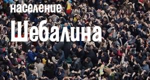 Население Шебалина