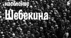 Население Шебекина