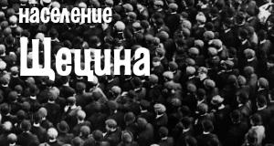 Население Щецина
