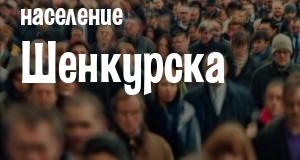 Население Шенкурска