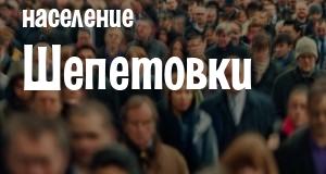 Население Шепетовки