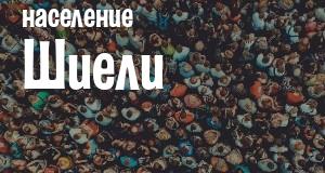 Население Шиели