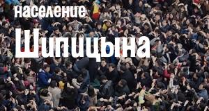 Население Шипицына