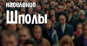 Население Шполы