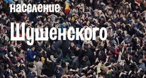 Население Шушенского