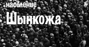 Население Шынкожа