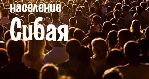 Население Сибая