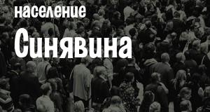 Население Синявина