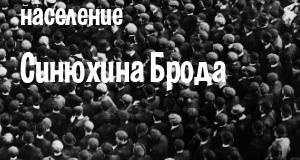 Население Синюхина Брода