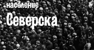 Население Северска