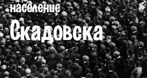 Население Скадовска