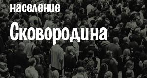 Население Сковородина
