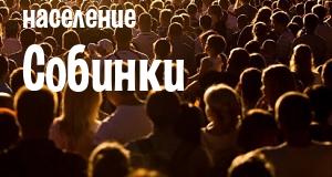 Население Собинки