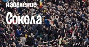 Население Сокола
