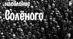 Население Солёного