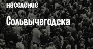 Население Сольвычегодска