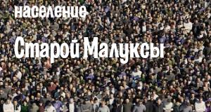 Население Старой Малуксы