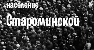 Население Староминской