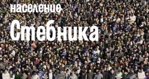 Население Стебника