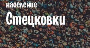 Население Стецковки