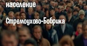 Население Стремоухово-Бобрика