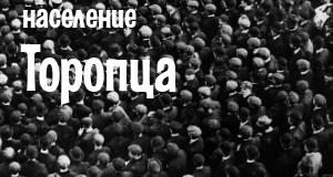 Население Торопца