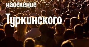 Население Туркинского