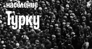 Население Турку