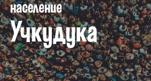 Население Учкудука