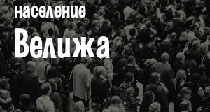 Население Велижа