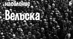 Население Вельска