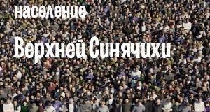 Население Верхней Синячихи