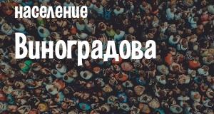 Население Виноградова