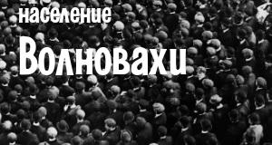 Население Волновахи