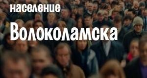 Население Волоколамска