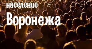 Население Воронежа