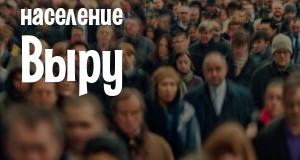 Население Выру