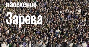 Население Зарева