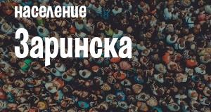 Население Заринска