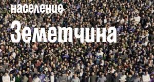 Население Земетчина