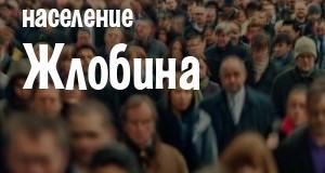 Население Жлобина