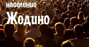 Население Жодино