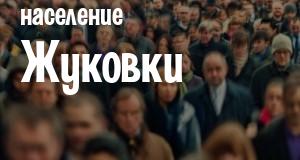Население Жуковки